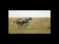 The Hunt Full Soundtrack The Hunt Full Soundtrack