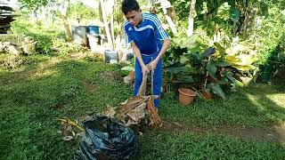 Civic Welfare Training Service (CWTS) 2. CLEANING THE BACKYARD AND SURROUNDINGS.