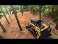 Between the Pines - The Beginning #forestrymulching