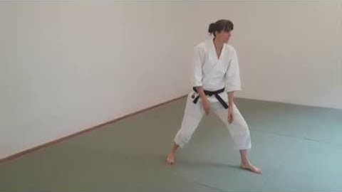 The virtual dojo day 2: Ukemi exercises