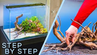 LowTech Planted Aquarium — HOW TO — Days 17