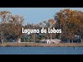 Una LAGUNA repleta de HISTORIA | Laguna de Lobos, Buenos Aires