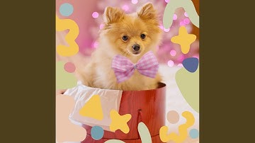 Pulsating Loud Puppies