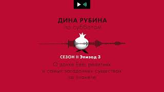 ДИНА РУБИНА. О дочке Еве, религиях и самых загадочных существах на планете | #подкаст