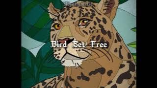 Sia - Bird Set Free (sped up)