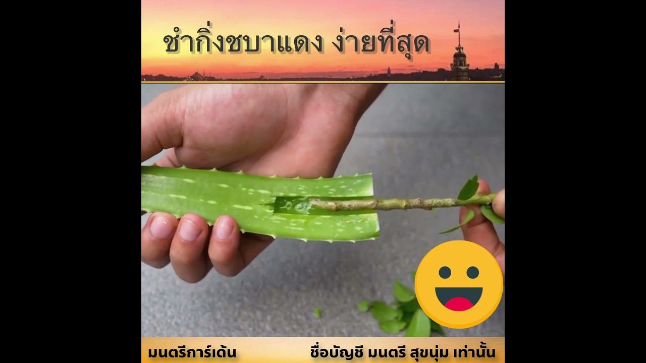 16 มีนาคม 2568