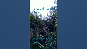 القرآن الكريم/سورة النجم القارئ الحاج عامر الكاظمي/اللهم صل وسلم على نبينا محمد