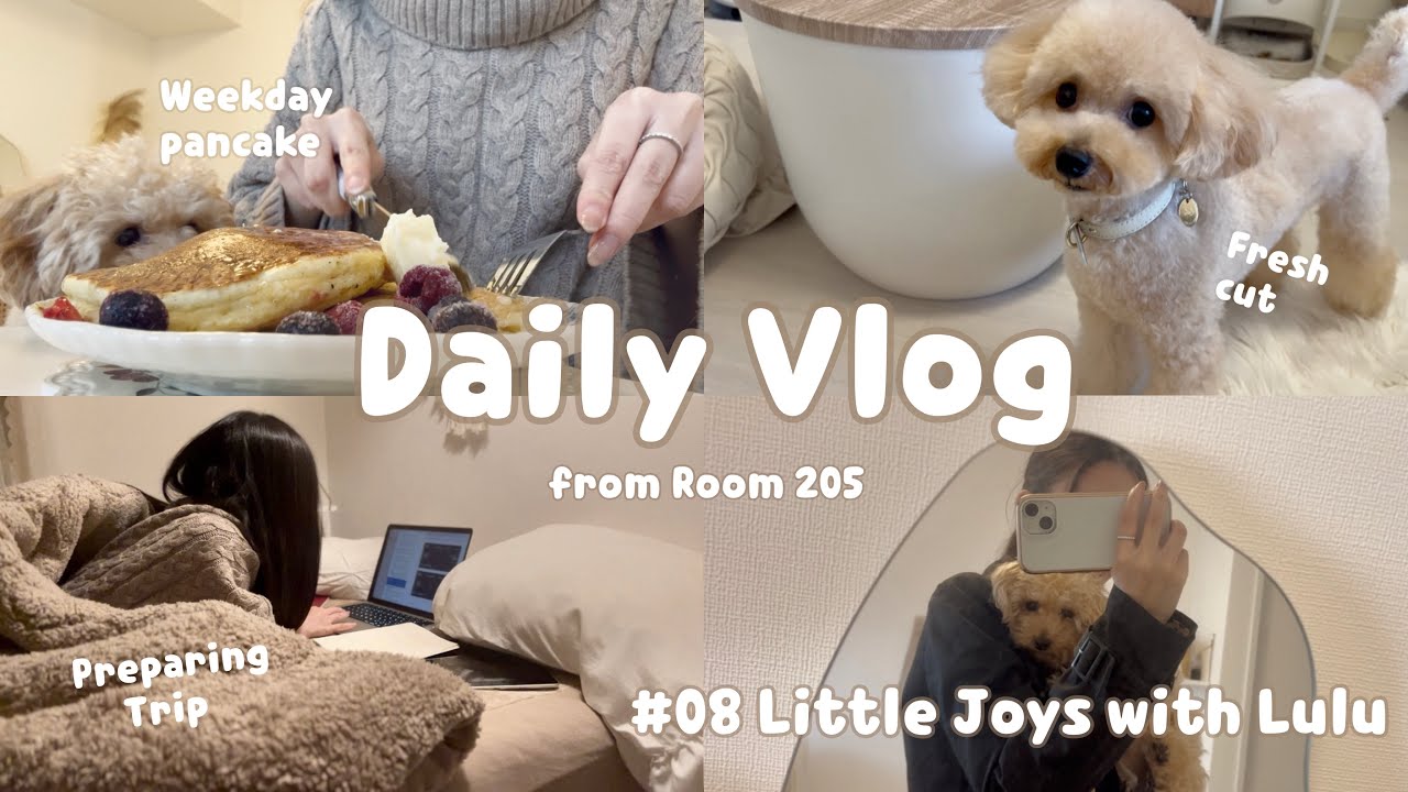 【無職の特権🥞】平日のパンケーキ。大変身をとげたトイプードルとポンコツ独身女の小さな幸せたち🍀｜Daily Vlog #08 ｜trimming, walking, cooking