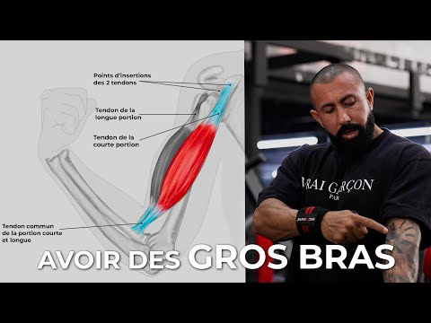 Vidéo: 4 façons d'agrandir les biceps