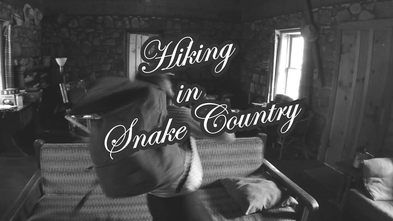 snake oil Hiking in Snake Country
