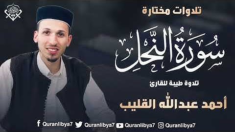 تلاوة للقارئ أحمد عبد الله القليب _ما تيسر من سورة النحل 