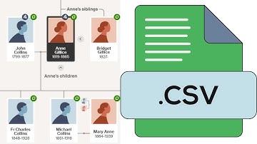 Extract Family Tree Sources to a Spreadsheet with Simple Python