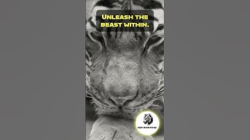 🚀 Unleash the Beast Within! 🚀 #motivation #inspiration #youtubeshorts #youtube #youtubemotivation