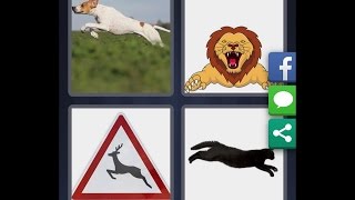 4 images 1 mot solution 7 lettres pantheres qui cours