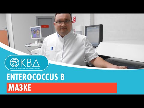 Video: Enterokok xəstəliyinin müalicəsinin 3 yolu