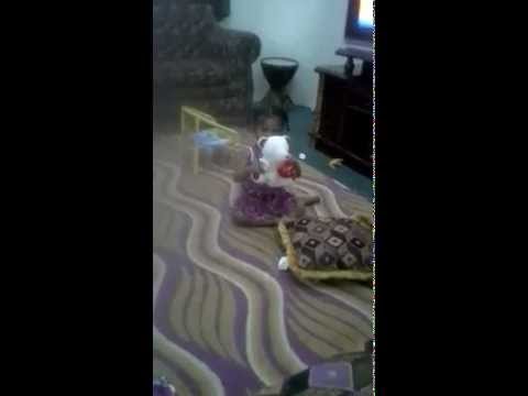 صور لي يا بابا دبدوبي