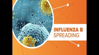 This year's flu season taking big toll on kids