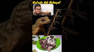 The analogy of a gecko's fortune - Ustadz Adi Hidayat