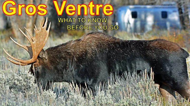 Guida completa a Gros Ventre nel Parco Nazionale di Grand Teton