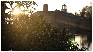 Uncover the secret to a colourful winter garden at National Trust's Dunham Massey near Manchester