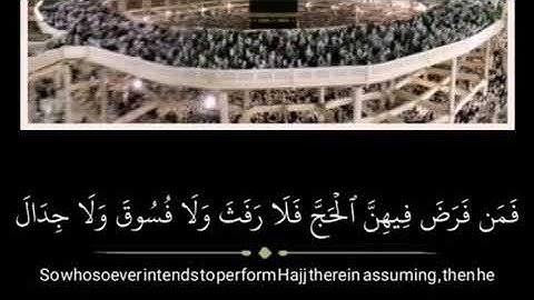 الحج أشهر معلومات🕋 آيات قرآنيه عن الحج🌙🕋 حالات واتس اب قرآن🌻مقاطع انستقرام للحج🌴تلاوه خاشعه