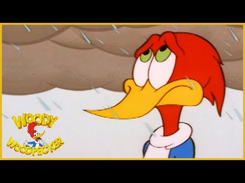 Woody Woodpecker Show | Bad Weather | Full Episode | Cartoons For Children