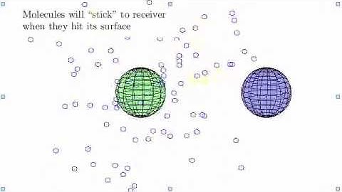 Diffusion to an absorbing sphere - AcCoRD Animation Demo