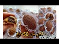 عيد 2022 قاطو الكبة يذوب في الفم بلا مول ولا طابع ولا جهد ويقطع كمية كبيرة