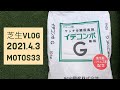 サッチ分解促進剤「イデコンポG」／ティフトン芝エリアの掃除【芝VLOG 4.3】