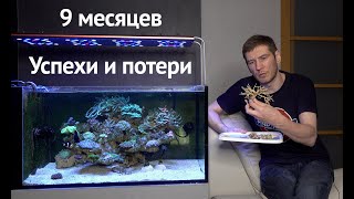 Морской аквариум  Циано  Фрагование кораллов