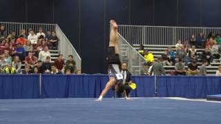 Timothy Wang - Floor Exercise - 2017 Winter Cup Prelims