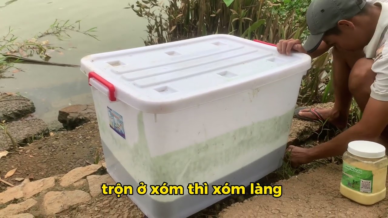 Bún gan ( công thức 1 ) tanh hăng thúi . | cốt bún nguyên liệu chua thơm thành nam II