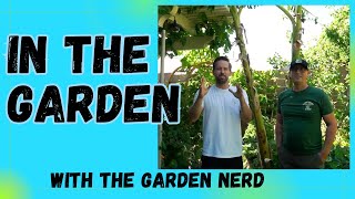 In The Garden | Can You Believe Were In The Desert???