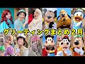 【ディズニーランド】最近のキャラクターグリーティングまとめ!2024年2月編!【ディズニーシー】