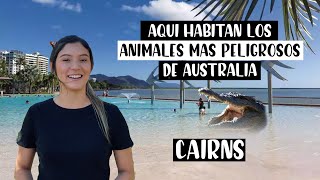 The GOOD and BAD things about CAIRNS - THE TRUTH 😳