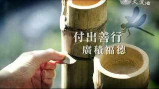 正信祈平安 環保愛地球 歡喜吉祥月20150813 1