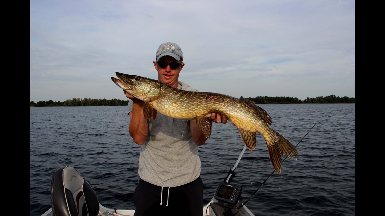 Vissen op snoek: Avondje werpen met groot rubber, metersnoek en dikke 90er in de boot