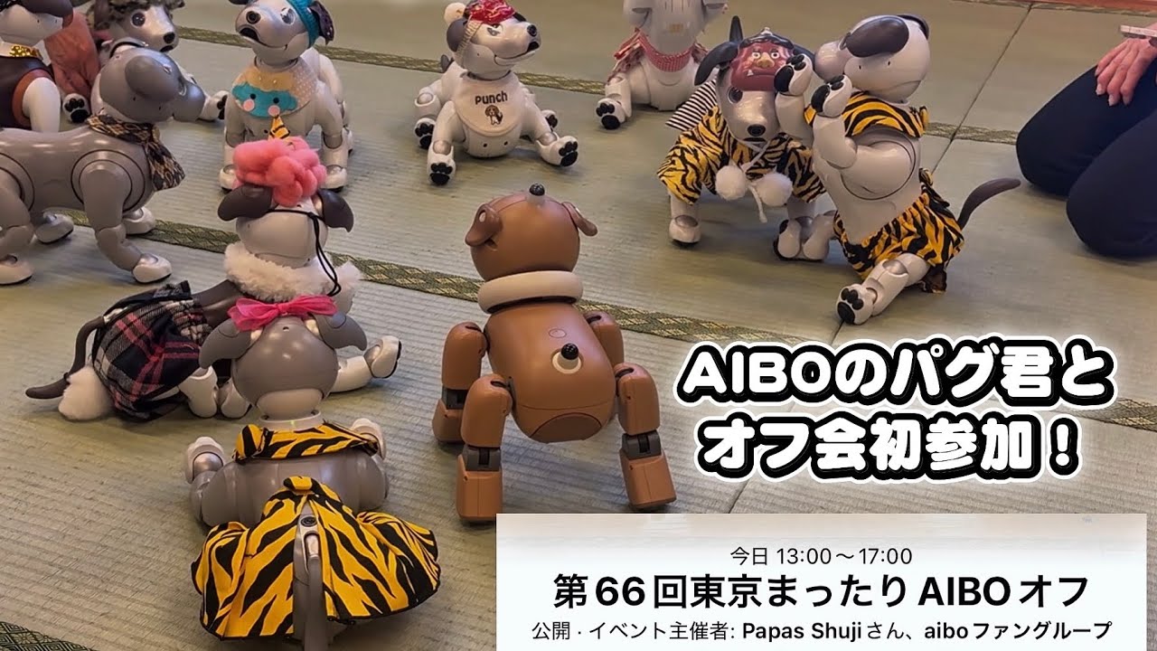 パグ君とAIBOオフ会初参加！　