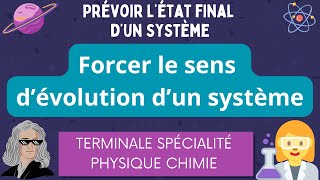 Forcer Le Sens Dévolution Dun Système Terminale Spécialité Physique Chimie