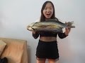 How to dry a fish