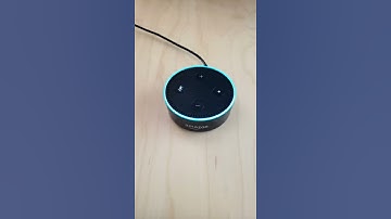 #Alexa, Self Destruct