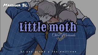 Little moth (Lyrics/Letra) - El pez globo y los delfines 🔞🖤