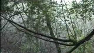 Introducing Bright Night Films