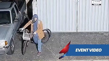 Remote Guard Deters Thief