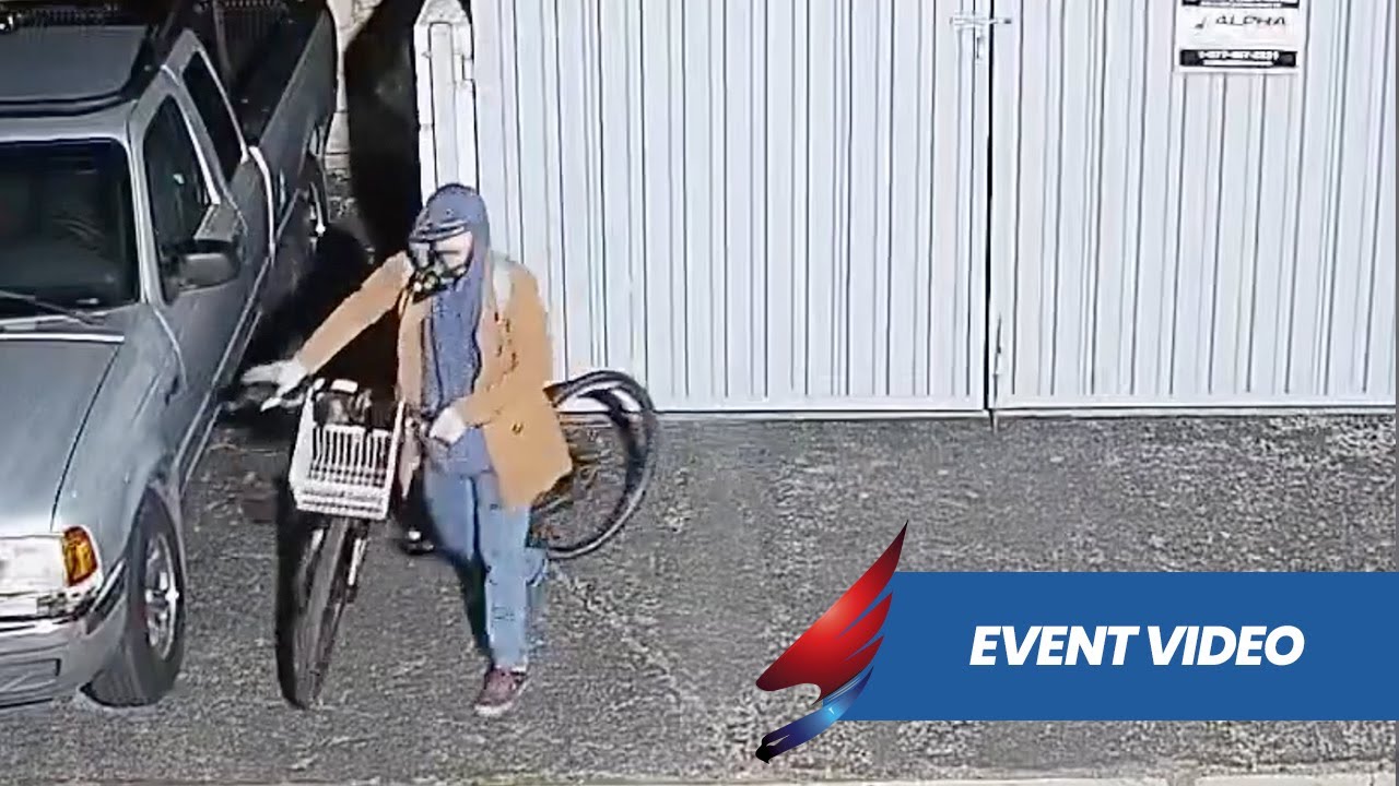 Remote Guard Deters Thief