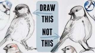 Sketching Animals: How to Draw a Realistic Bird by Claudia Sketches 57,949 views 5 years ago 12 minutes, 29 seconds