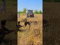 How to cutter front move Donkey