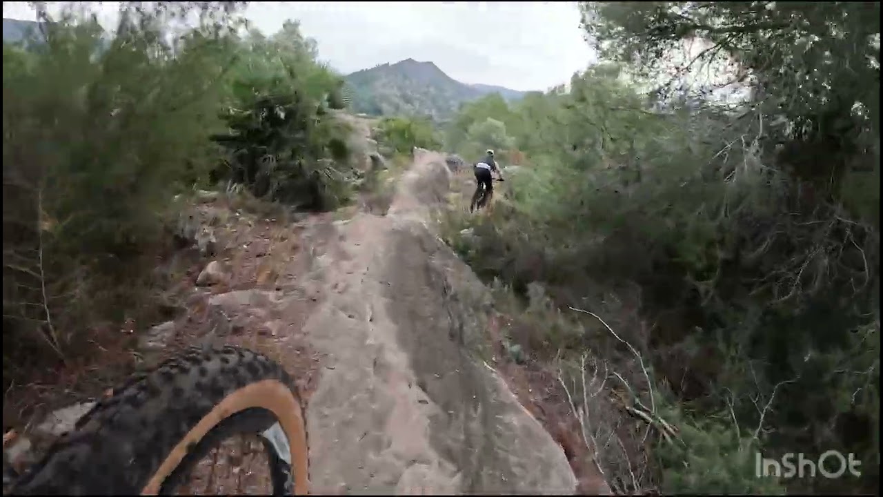 TRIALERAS TOP ZONA PEGO - OLIVA 