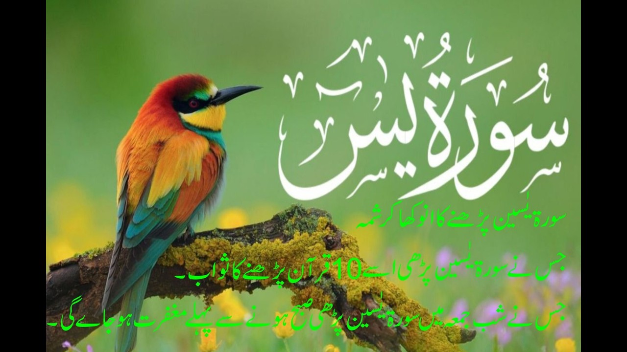 Sura Yaseen ISLAMIC TV786 | Iman, Amal aur Akhlaq