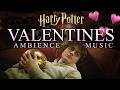 Lonely Valentine S At Hogwarts Harry Potter Inspired Ambience Soft Music